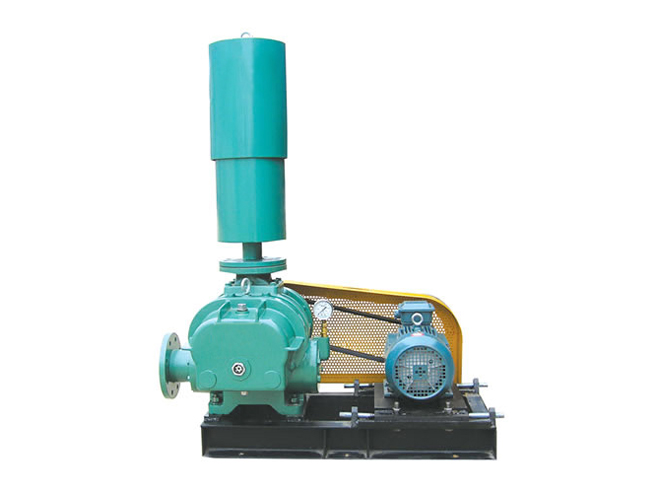 羅茨鼓風(fēng)機